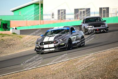 media/Feb-25-2024-Speed Ventures (Sun) [[b9a2a97a4d]]/Mustang Drivers Club/Session 1 (Turns 4 and 5)/